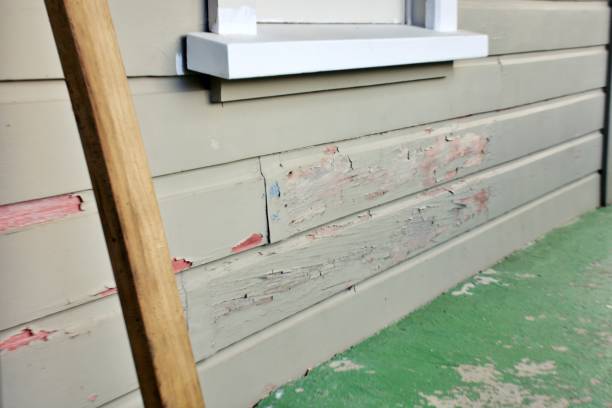 Best Historical Building Siding Restoration  in Monroeville, OH
